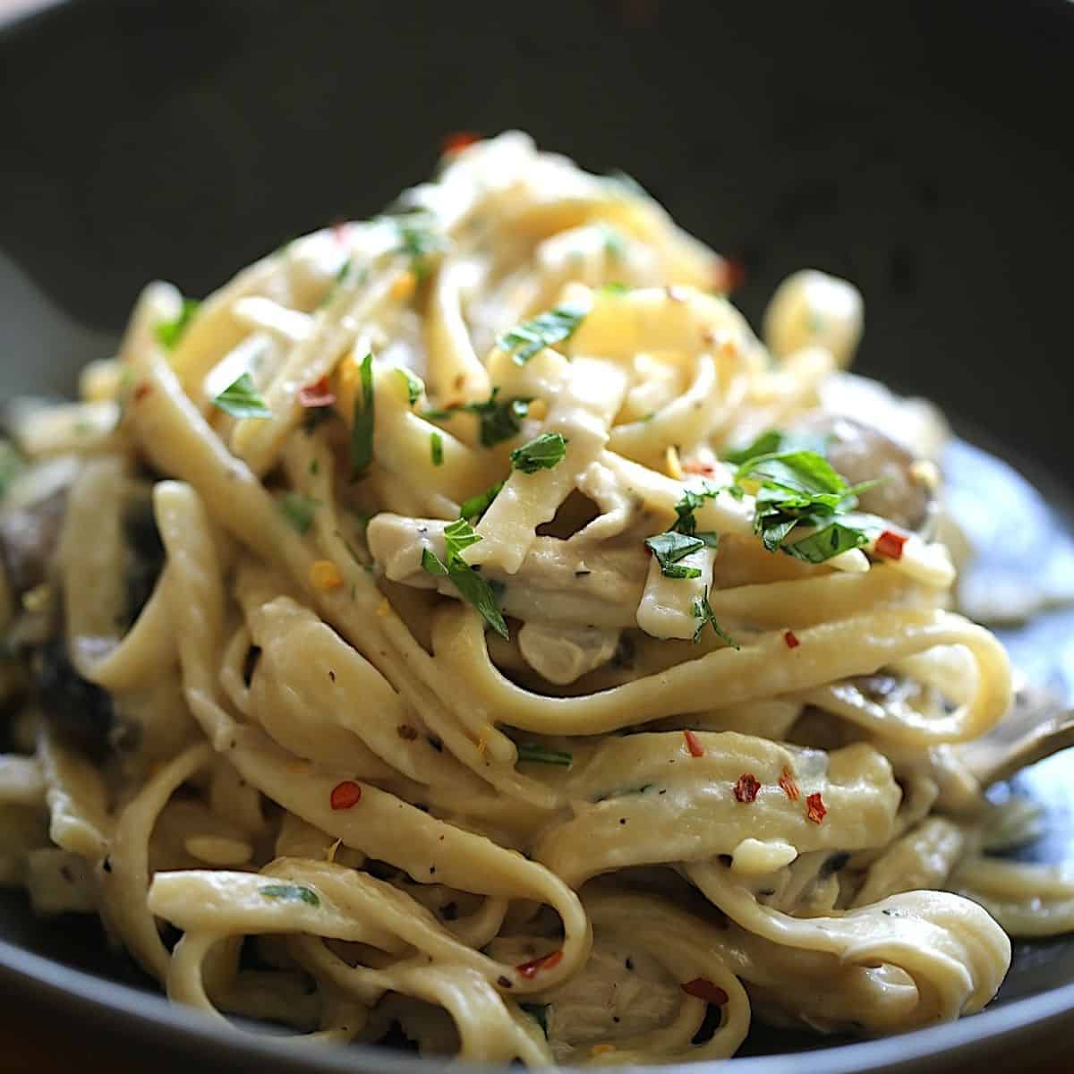 Fettucini Alfredo